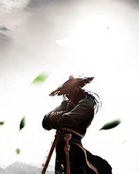 武十郎传奇之梁山再兴